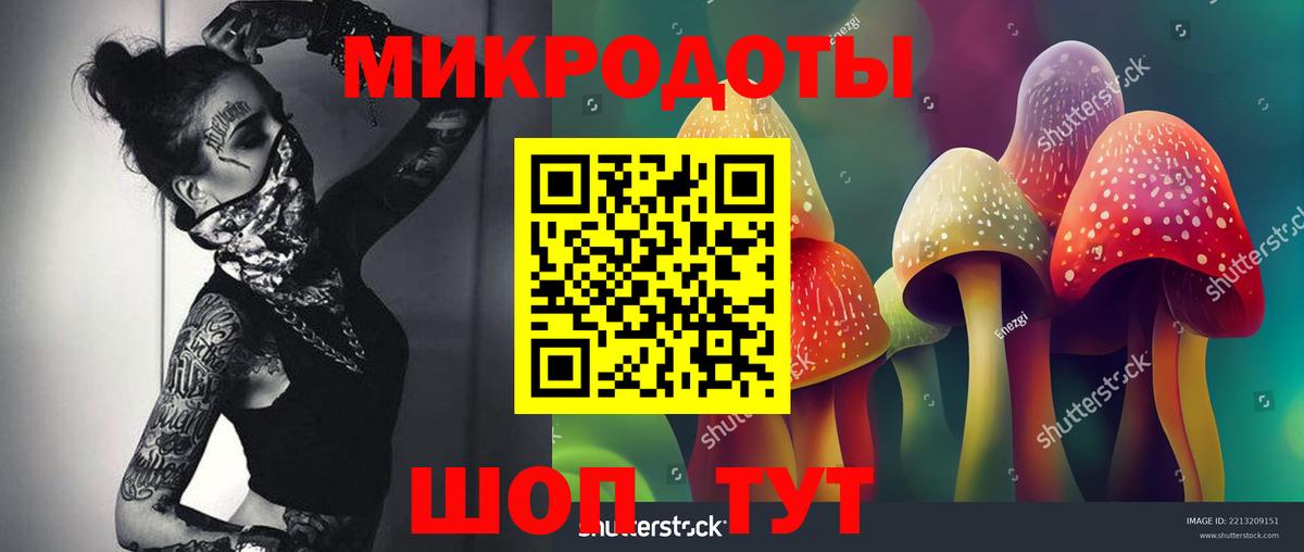 Псилоцибиновые грибы мицелий Холмск